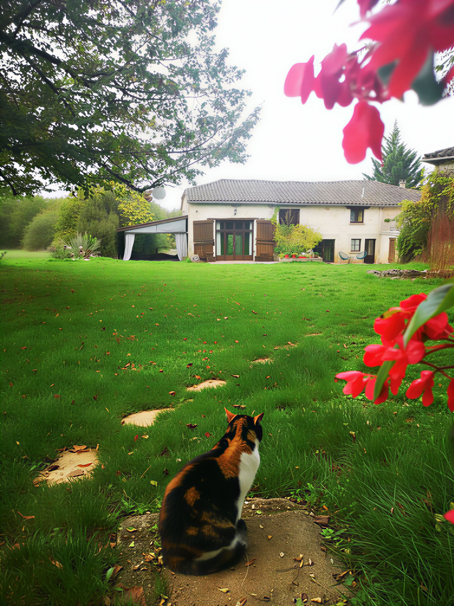 Healing yoga and meditation retreat