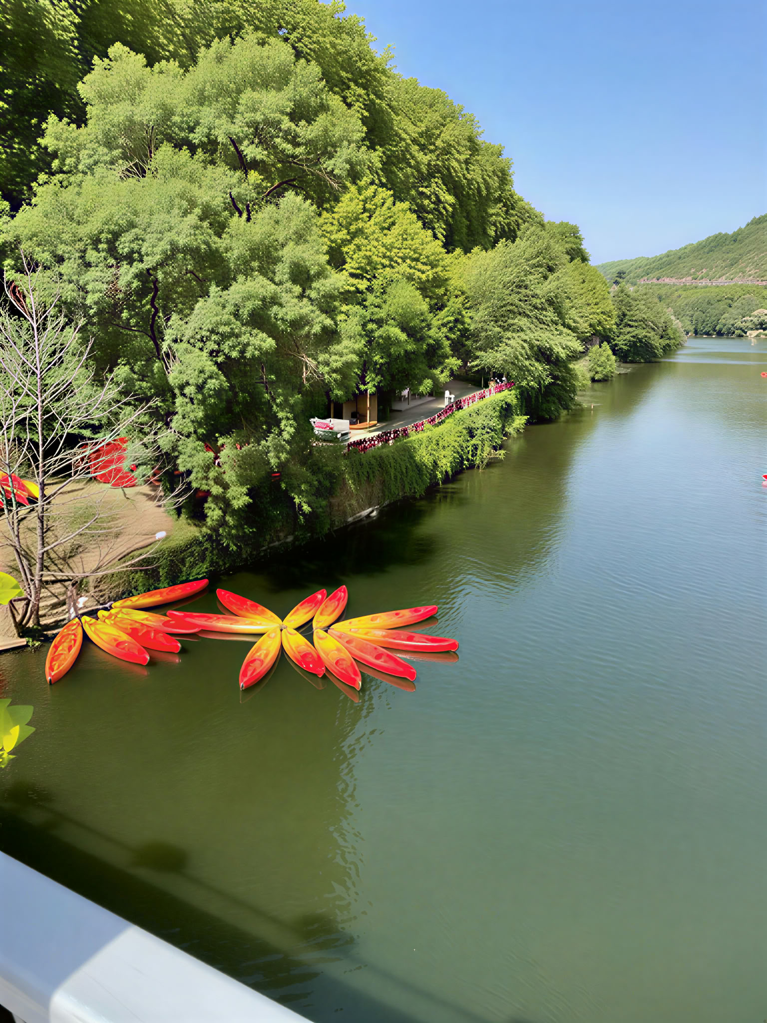 Healing yoga and meditation retreat
