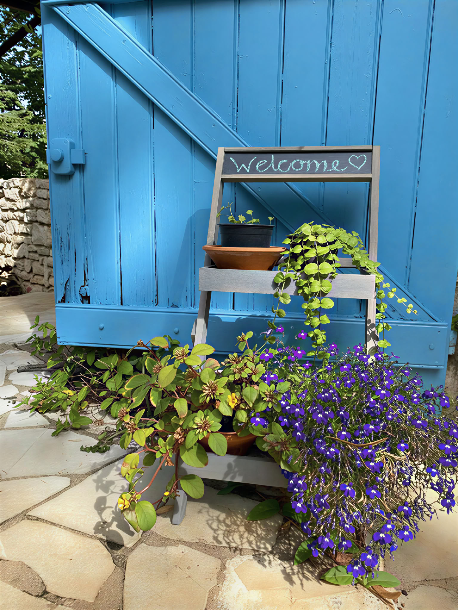 Yoga & Meditation Retreat in Southern France