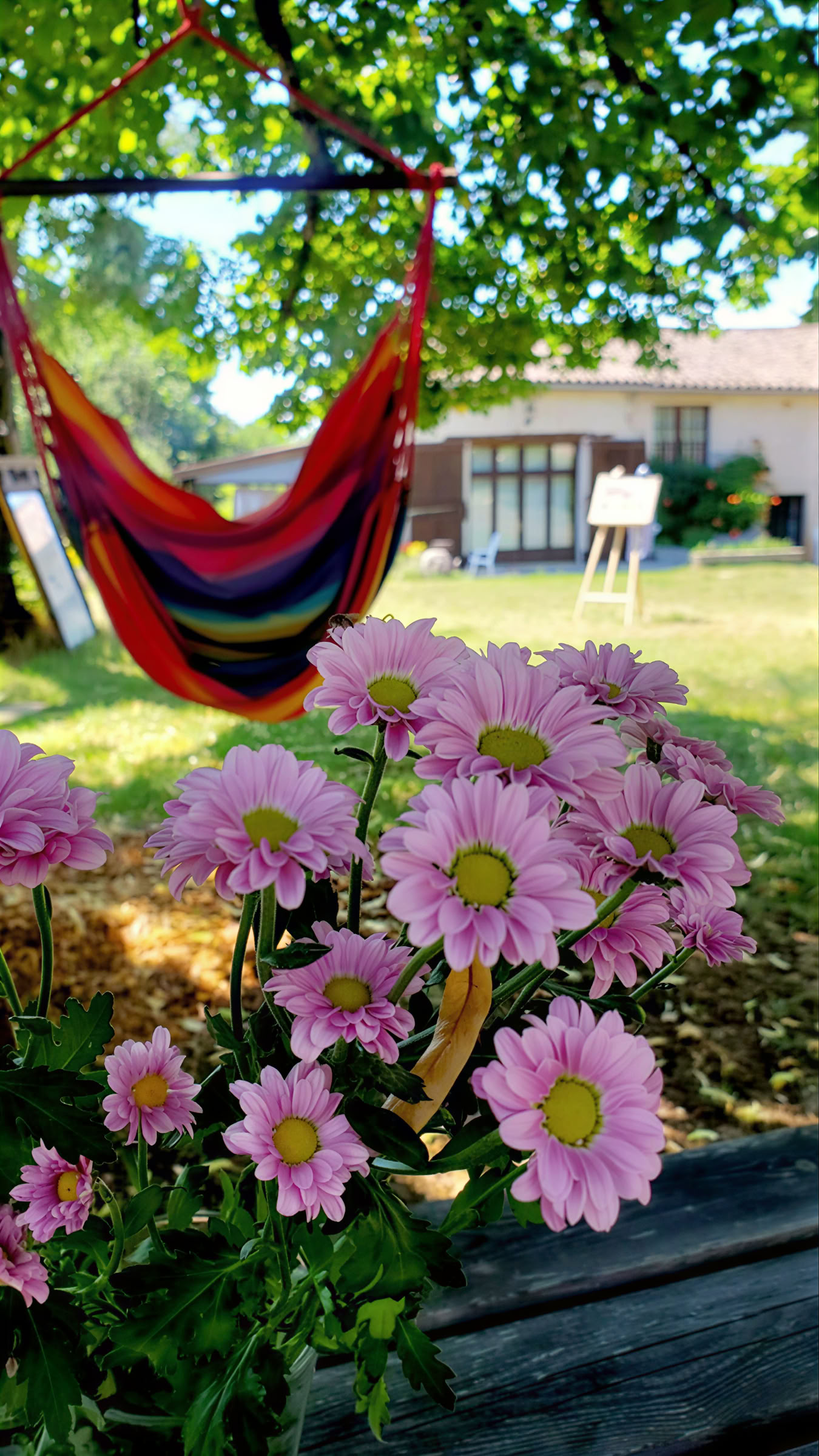 Yoga & Meditation Retreat in Southern France