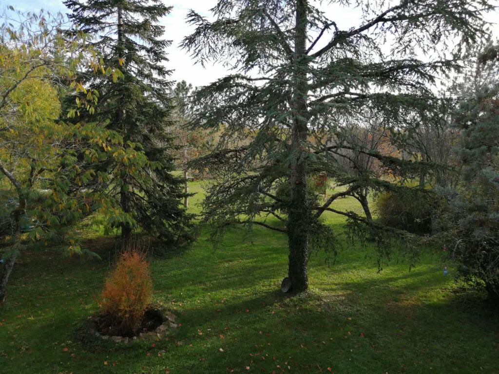 Yoga & Meditation Retreat in Southern France