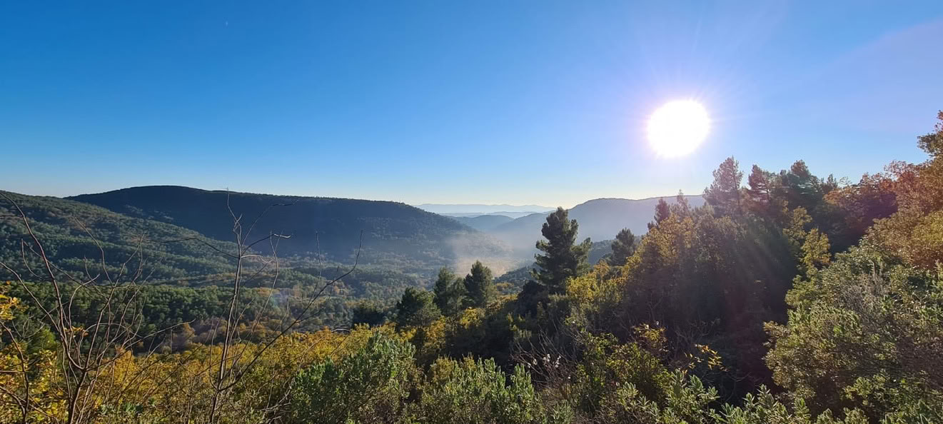 DETOX retreat