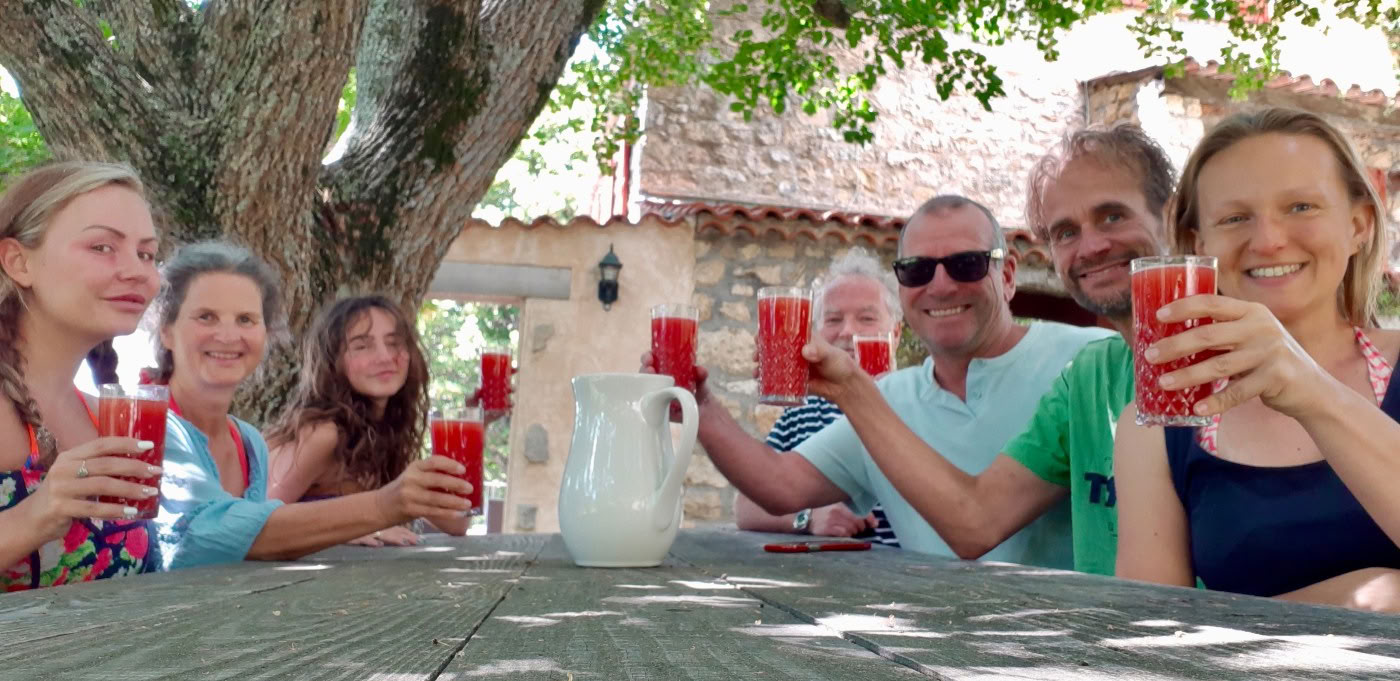 DETOX Juice retreat
