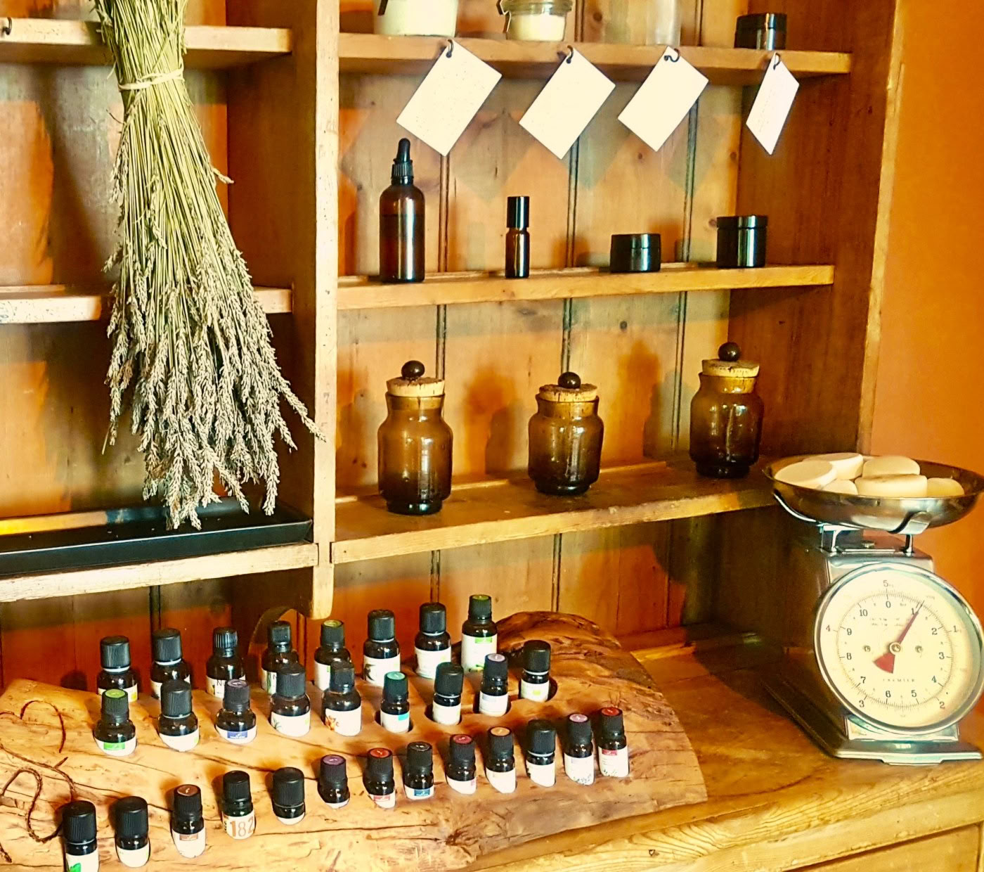 6 SENSES retreat
