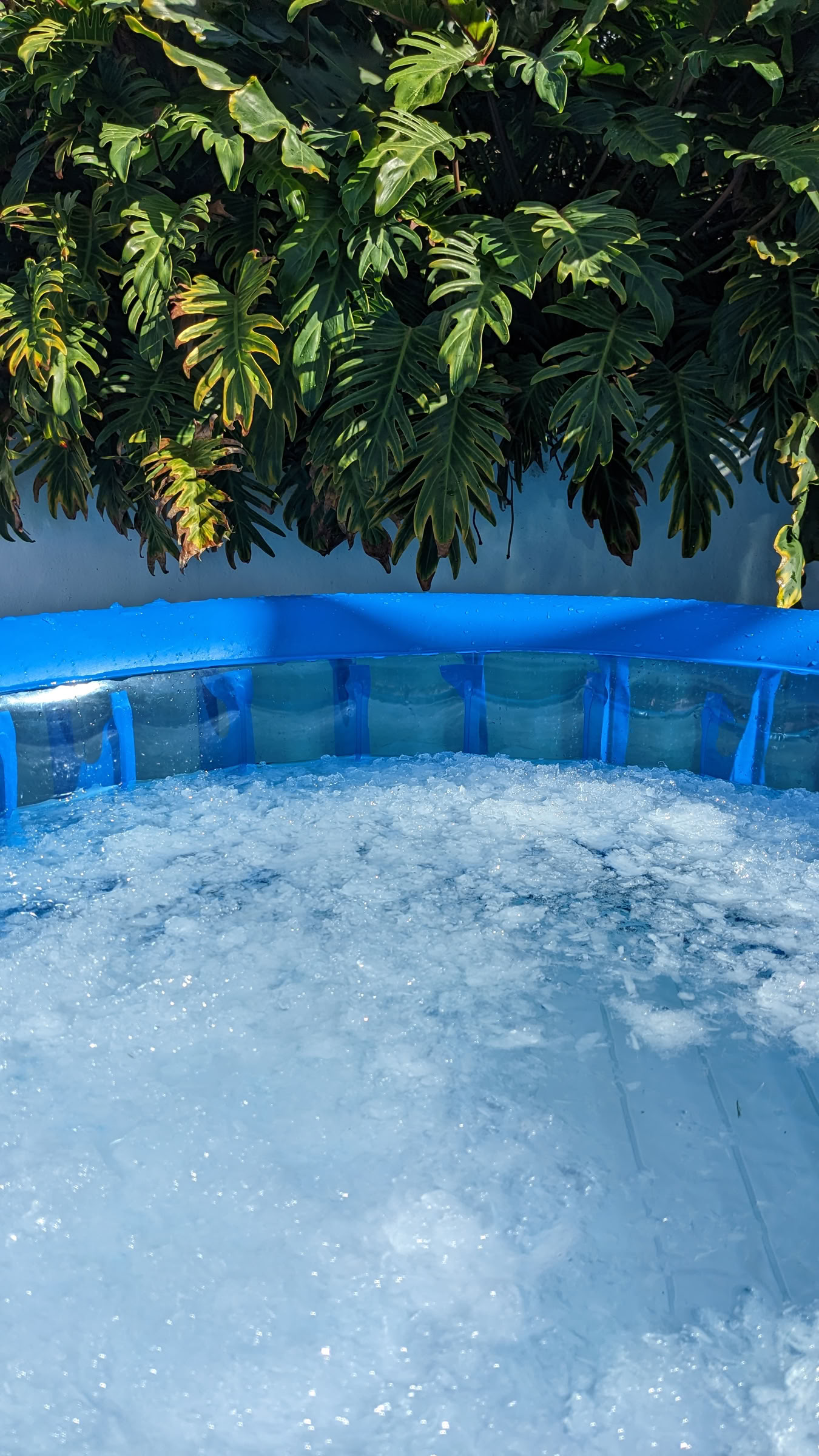 Wim Hof Method Fuerteventura