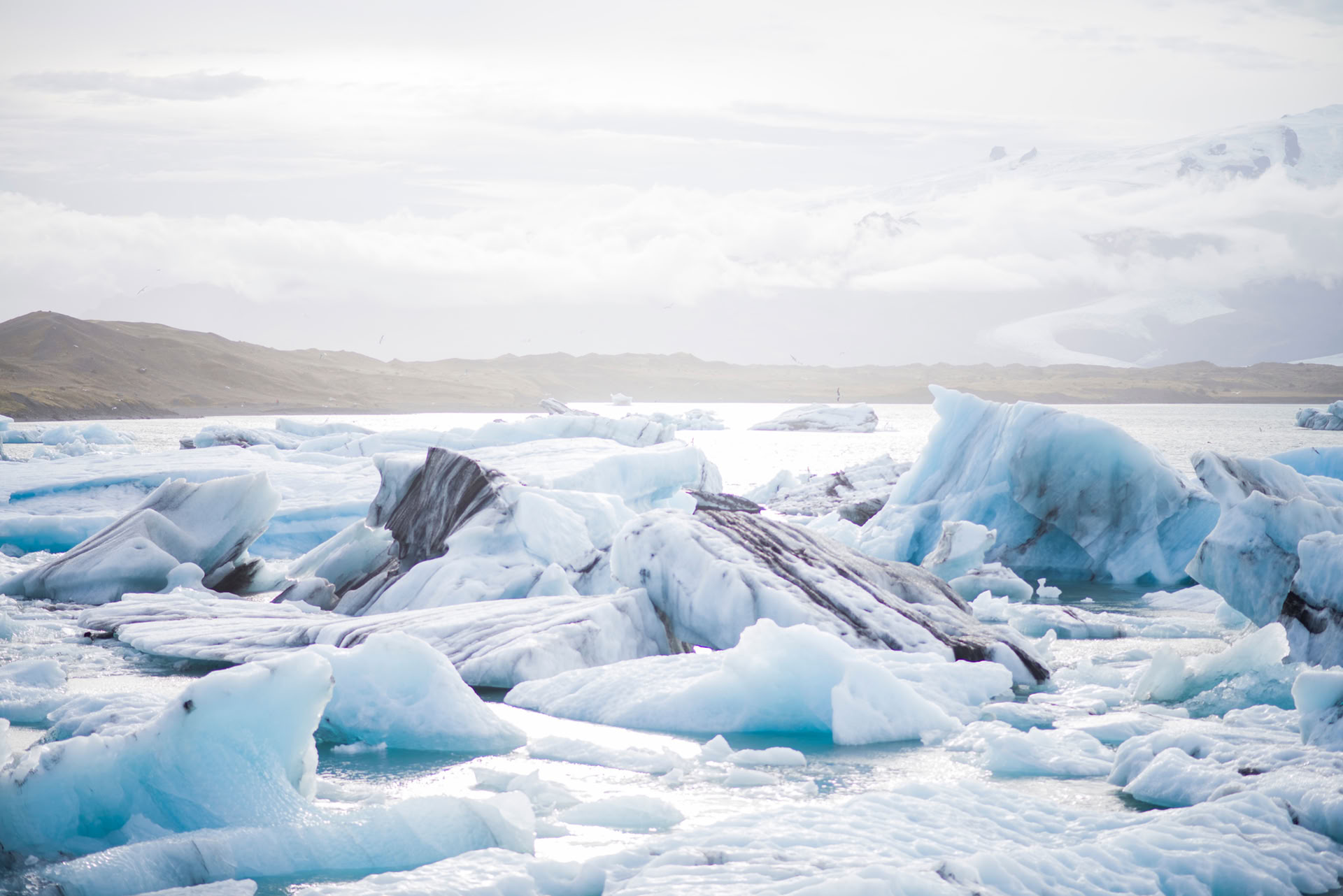 Cold Therapy-Glacier Hike. WHM