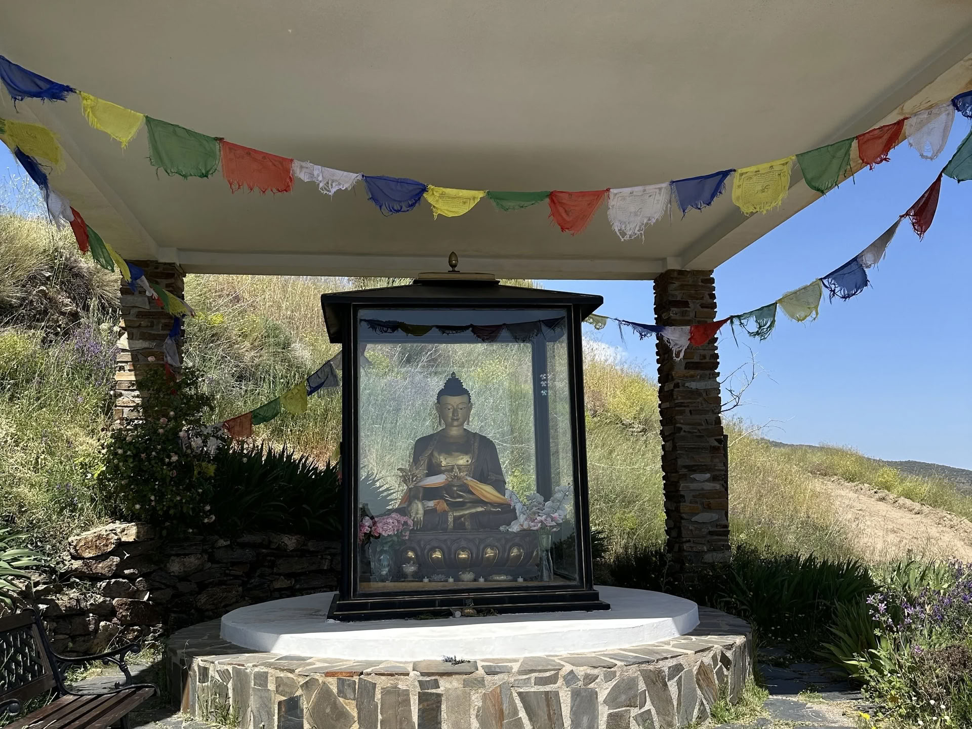 7 Day Reconnect & Rebalance Yoga Retreat - June