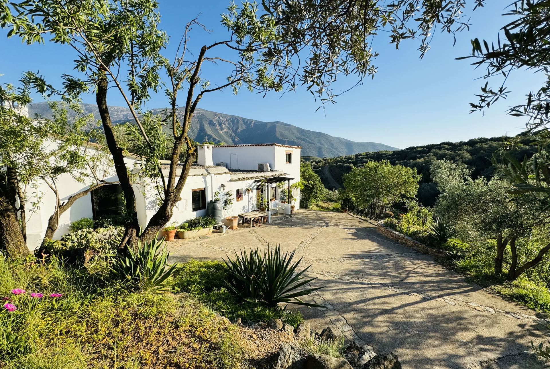 6 day Nature & Yoga Retreat