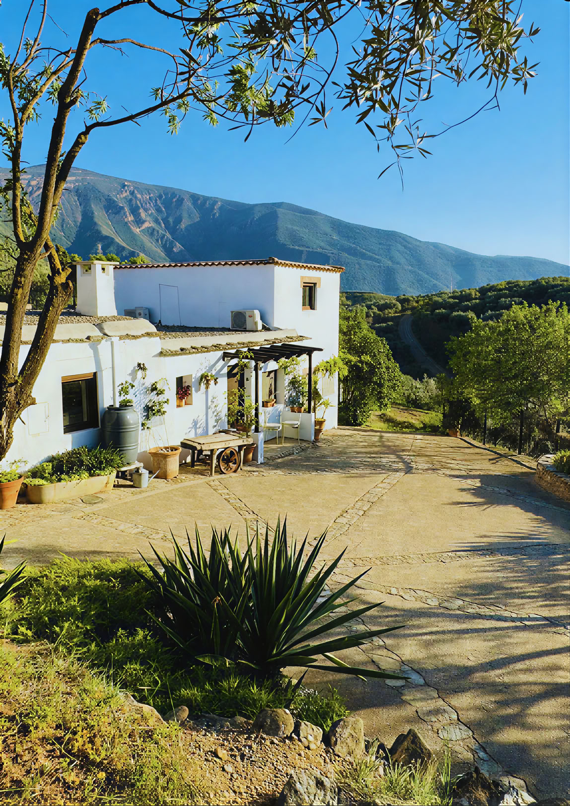 6 day Nature & Yoga Retreat