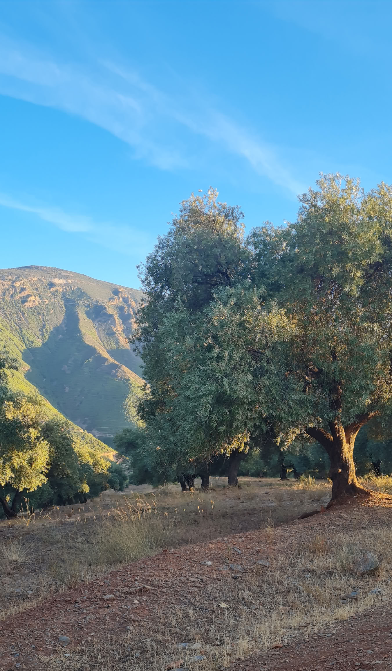 6 day Nature & Yoga Retreat