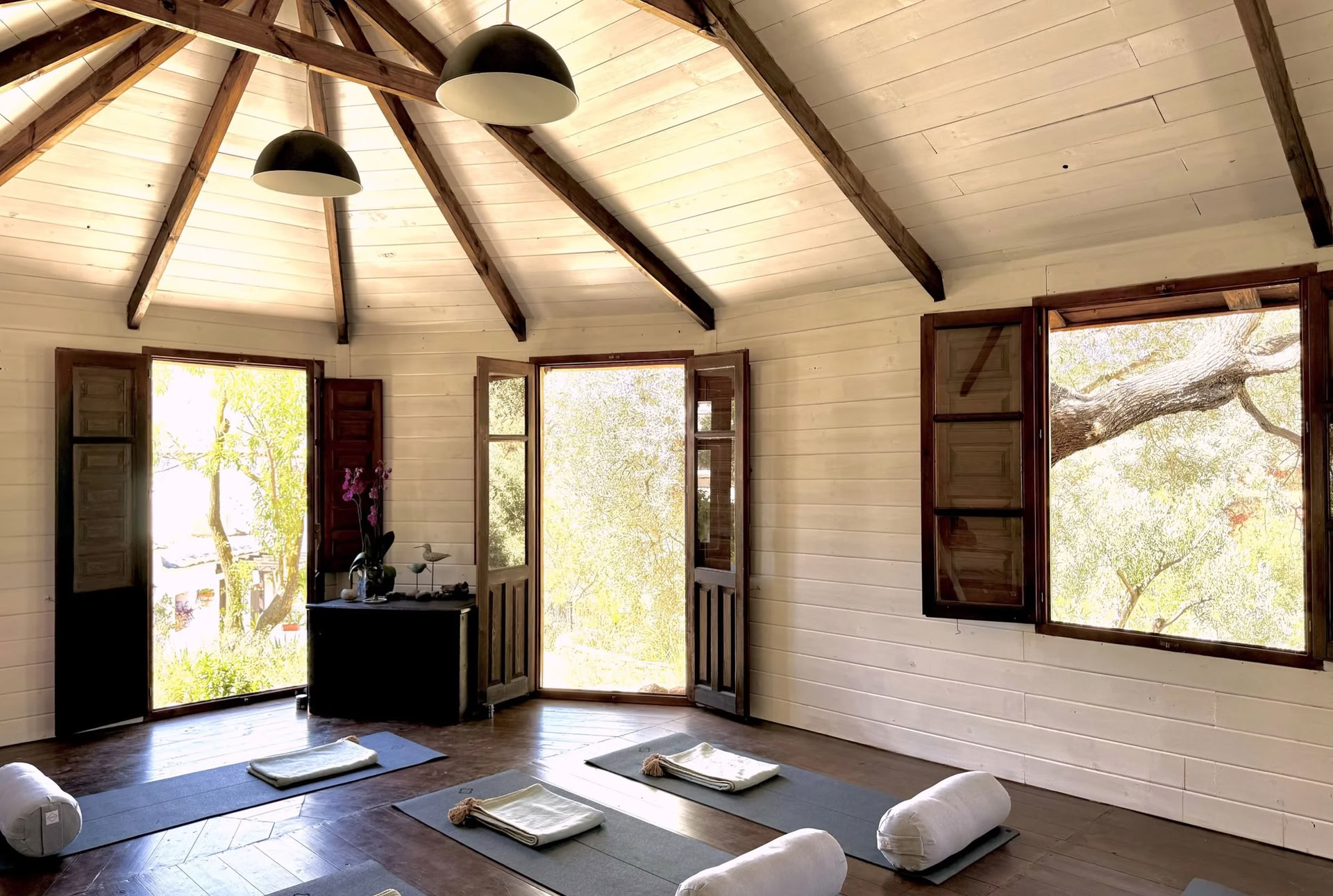 50hr Yin Yoga Course - October