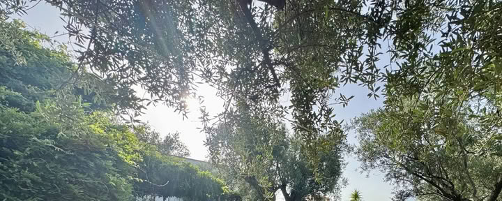 7-Day Reconnect & Rebalance Yoga Retreat in Orgiva, Spain