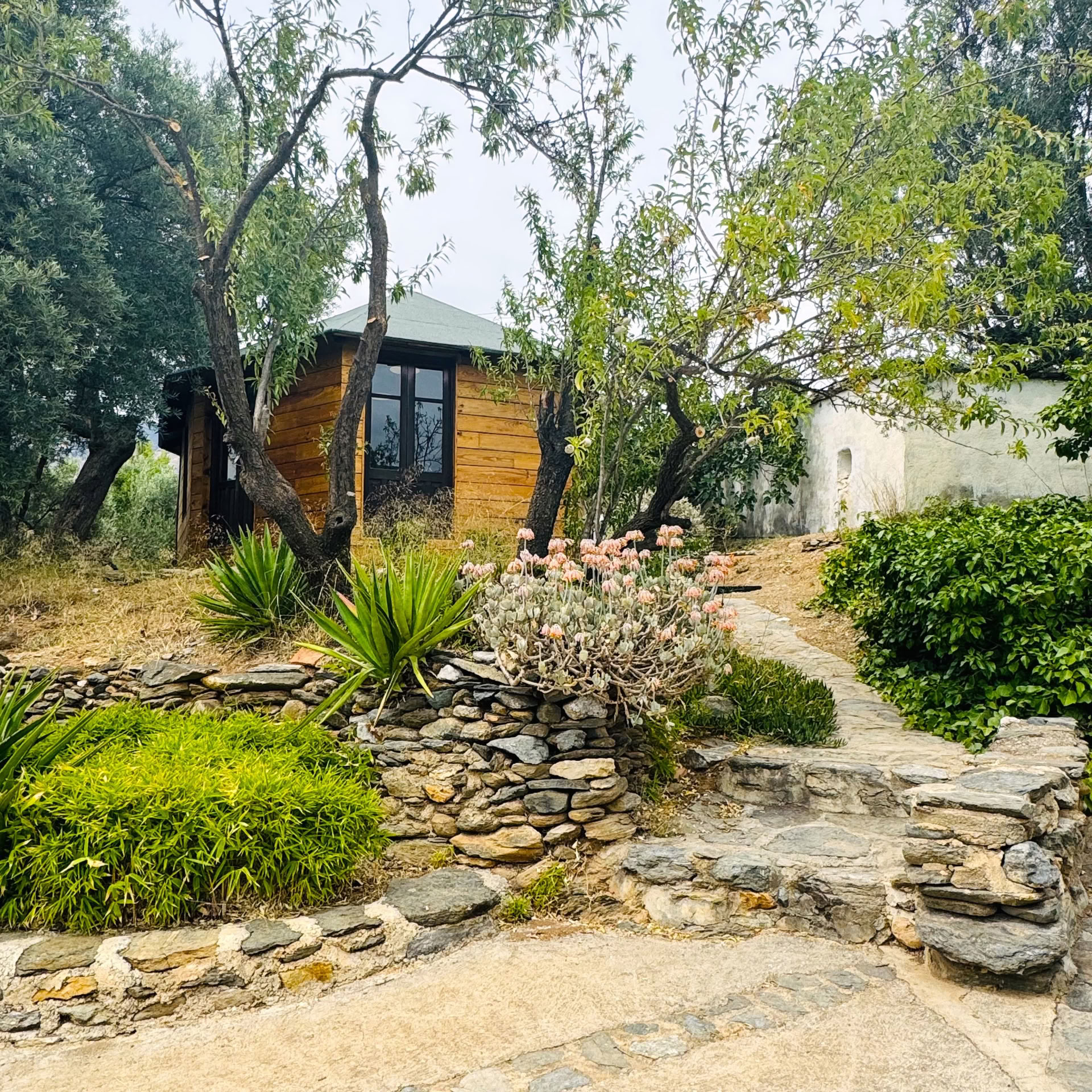 Spain Yoga Retreat