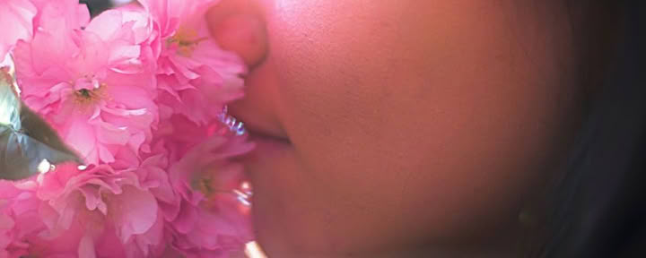 6 Day Total Body Reset: Mind - Body - Soul