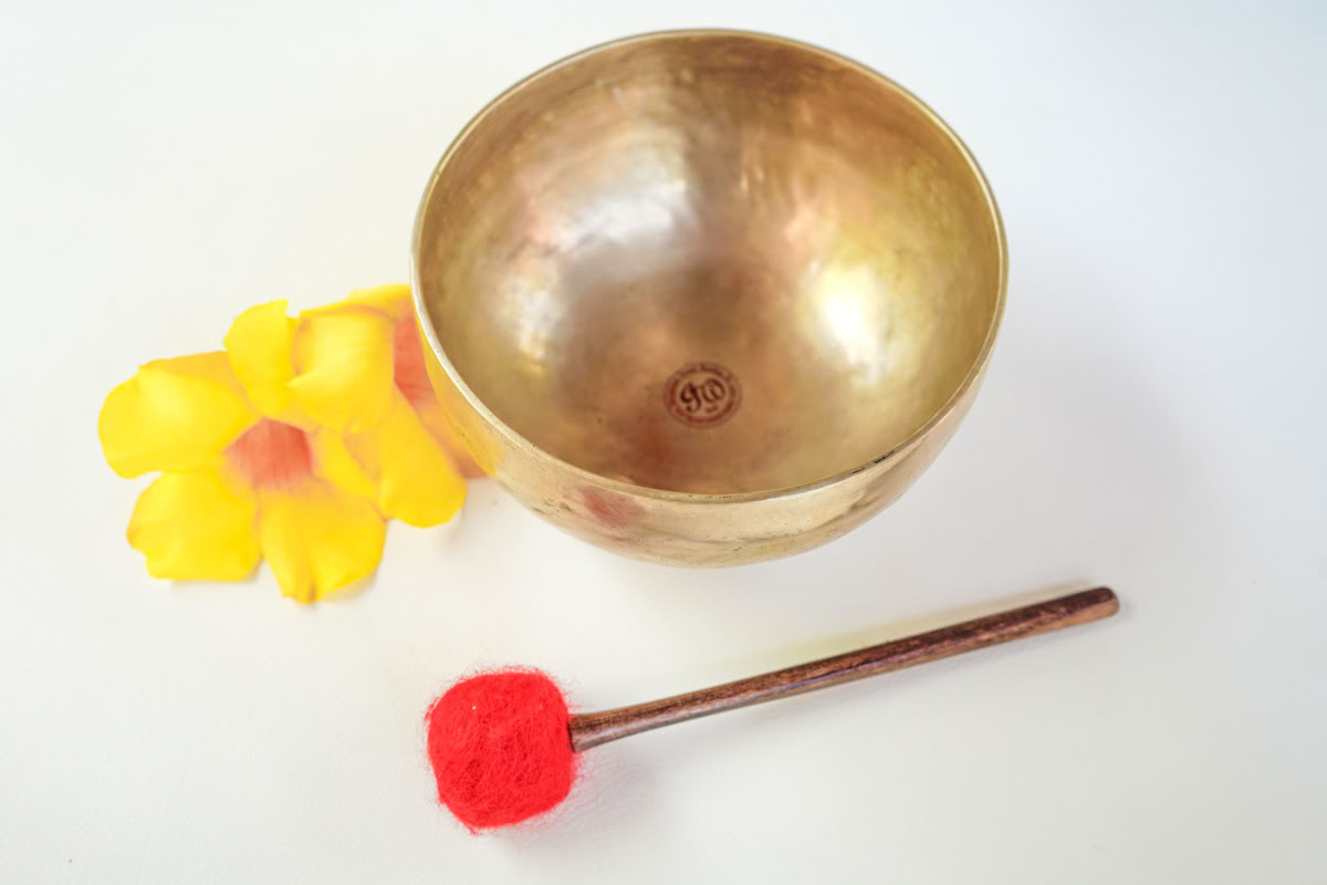 3 Day Vibrational Sound Healing training