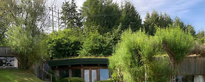 18 Month Embracing Shamanism Practitioner Training (Continued)