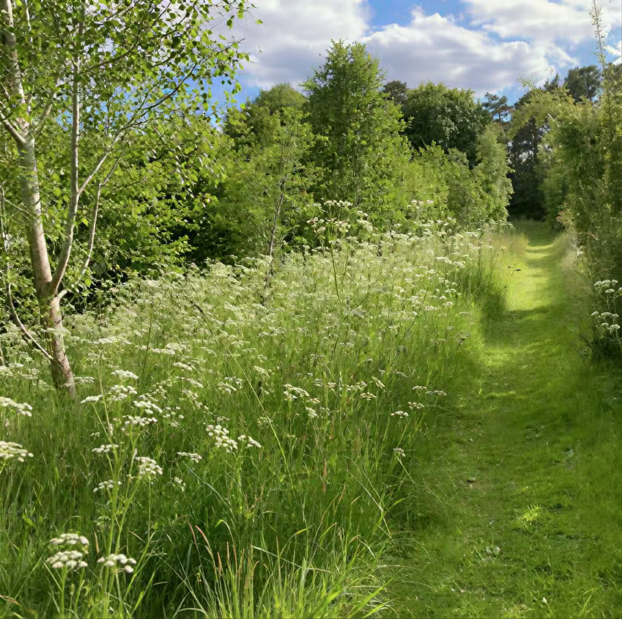 Meditation Retreat : Simply Being