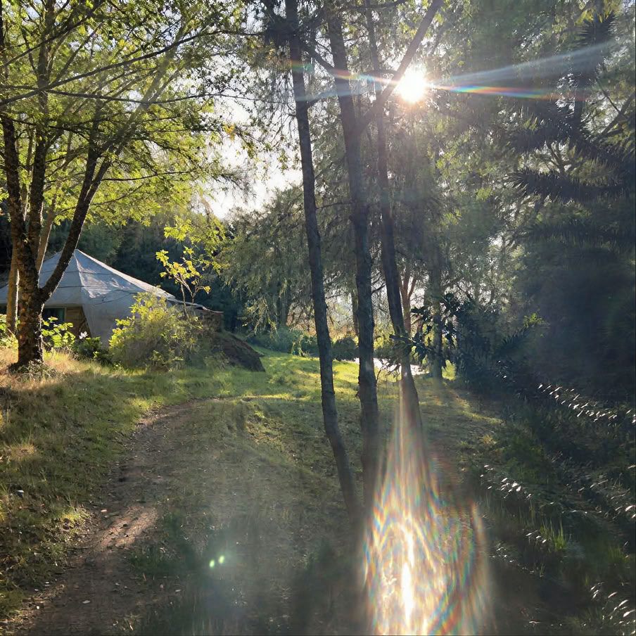 Summer Connections
