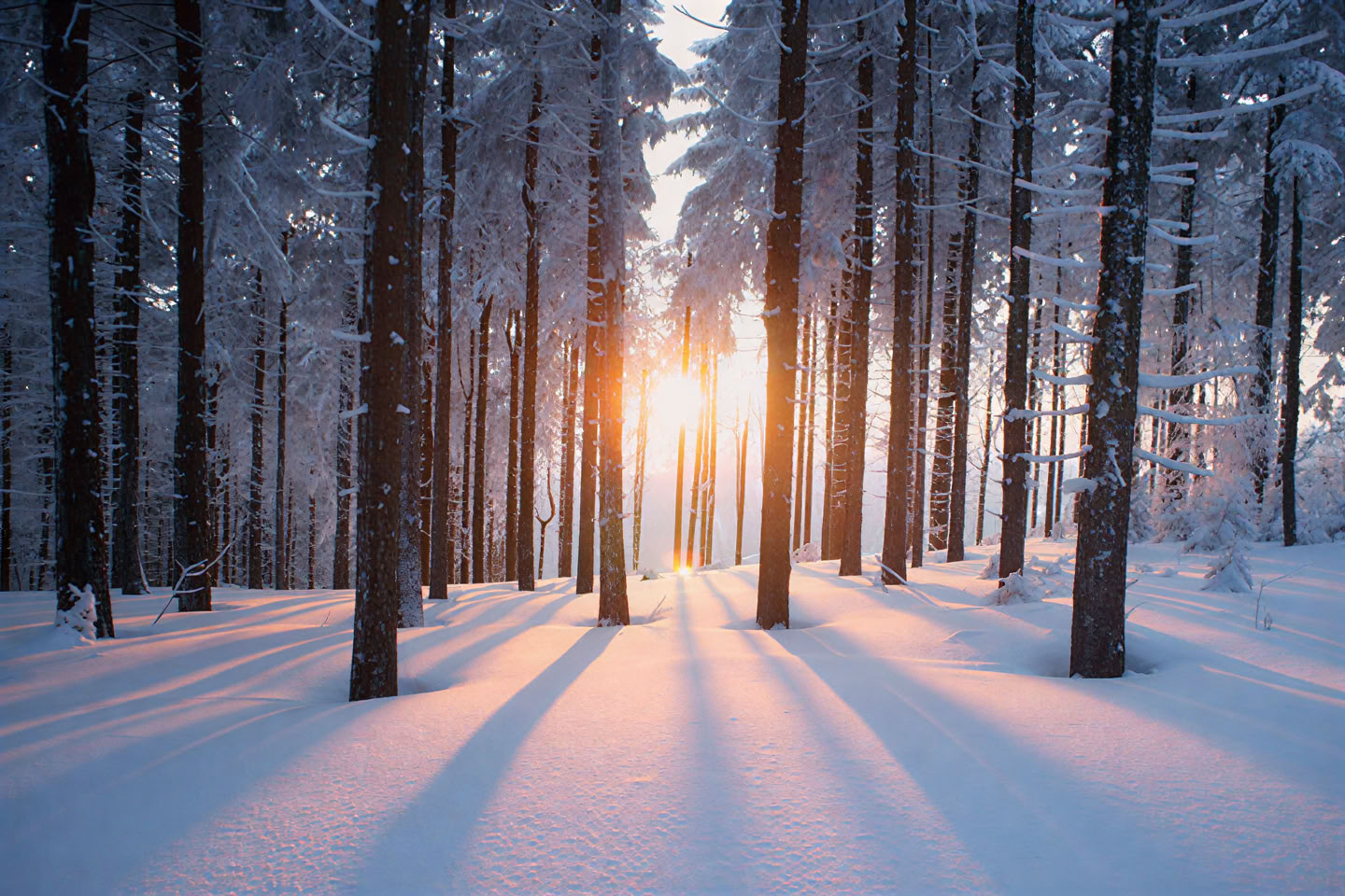 Alternative Christmas Retreat