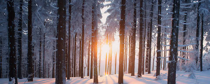 Alternative Christmas Retreat