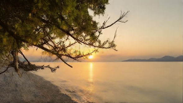 Detox Retreat