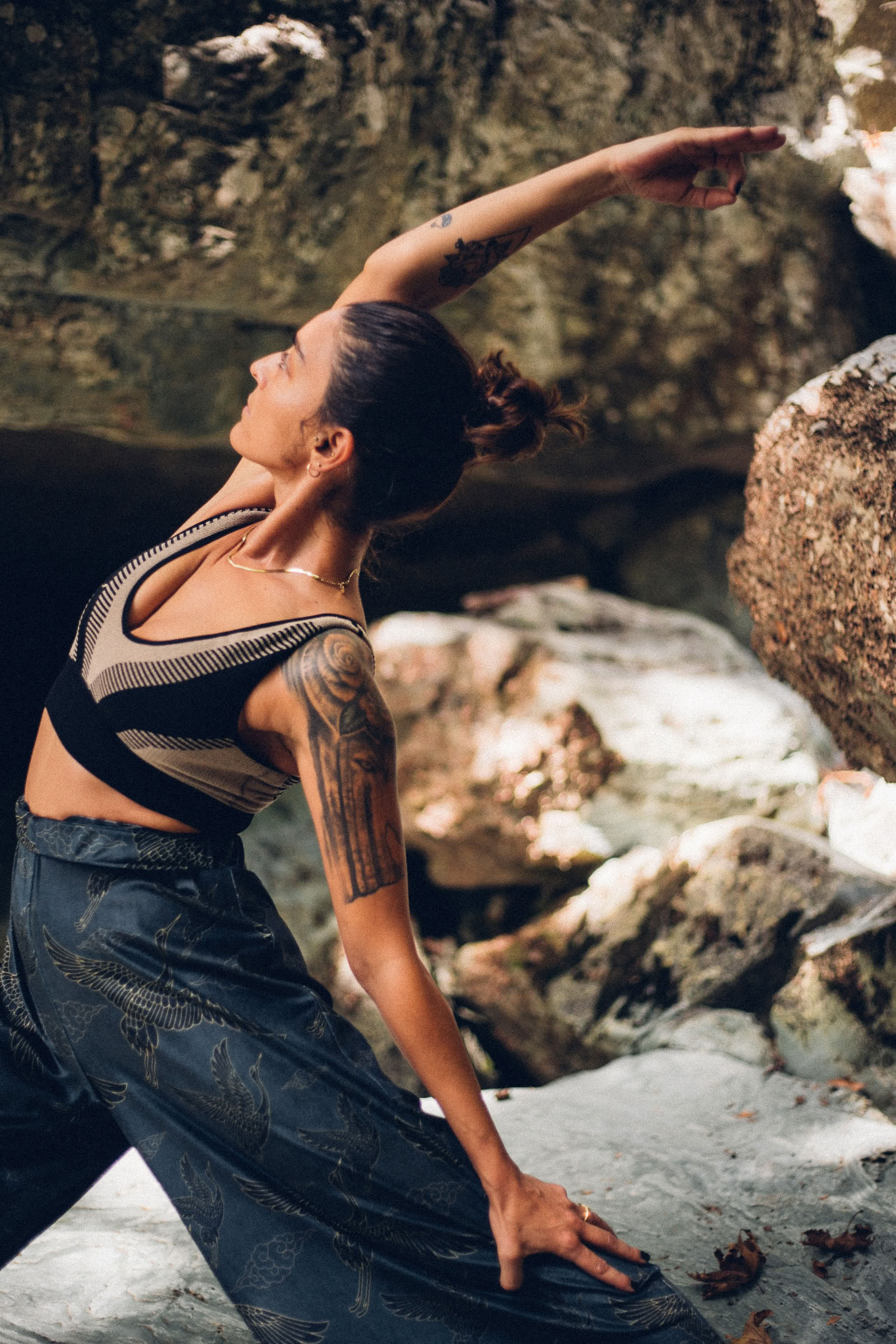 Chakra Journey
