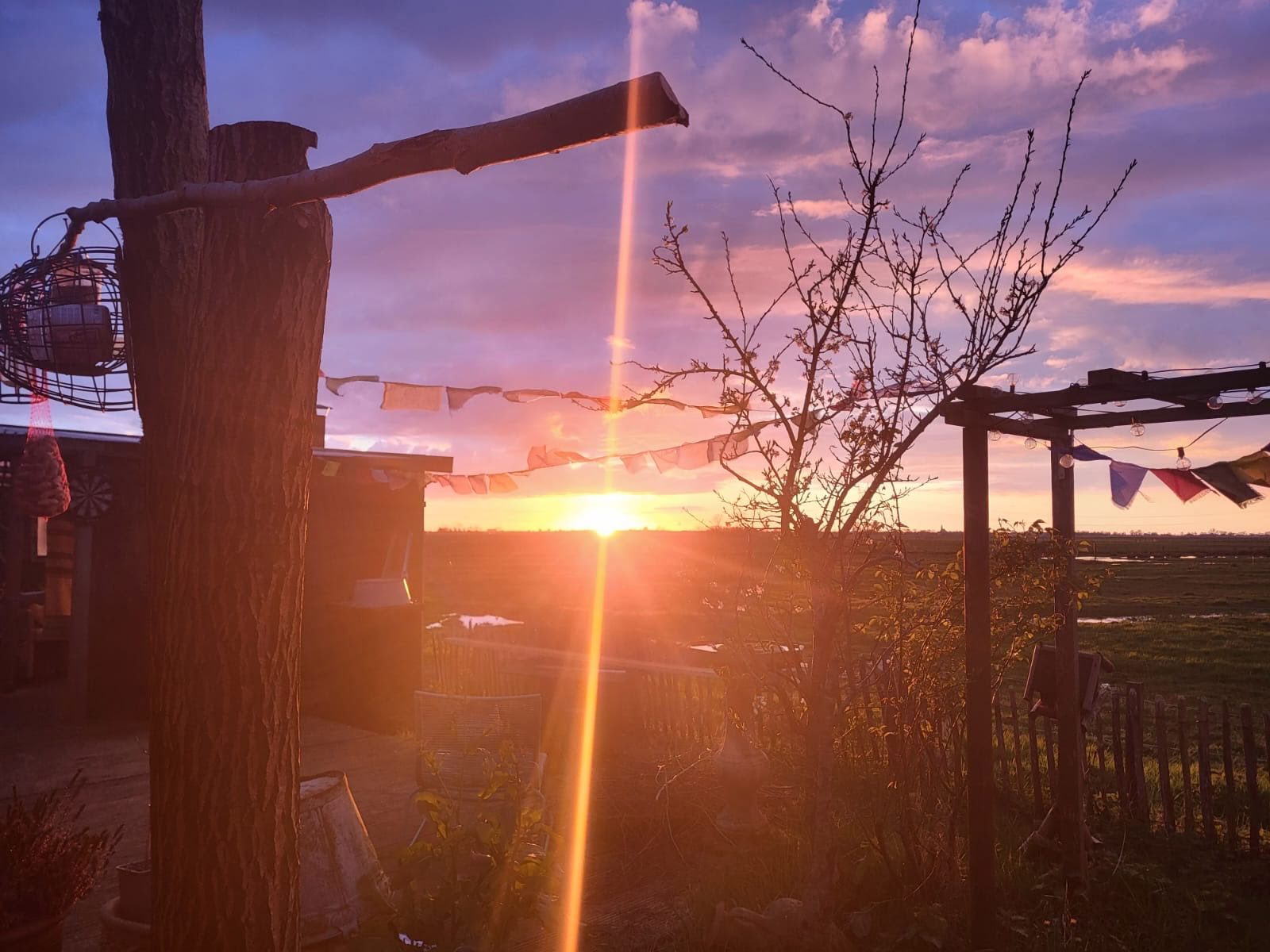 3 Day Ayahuasca Retreat