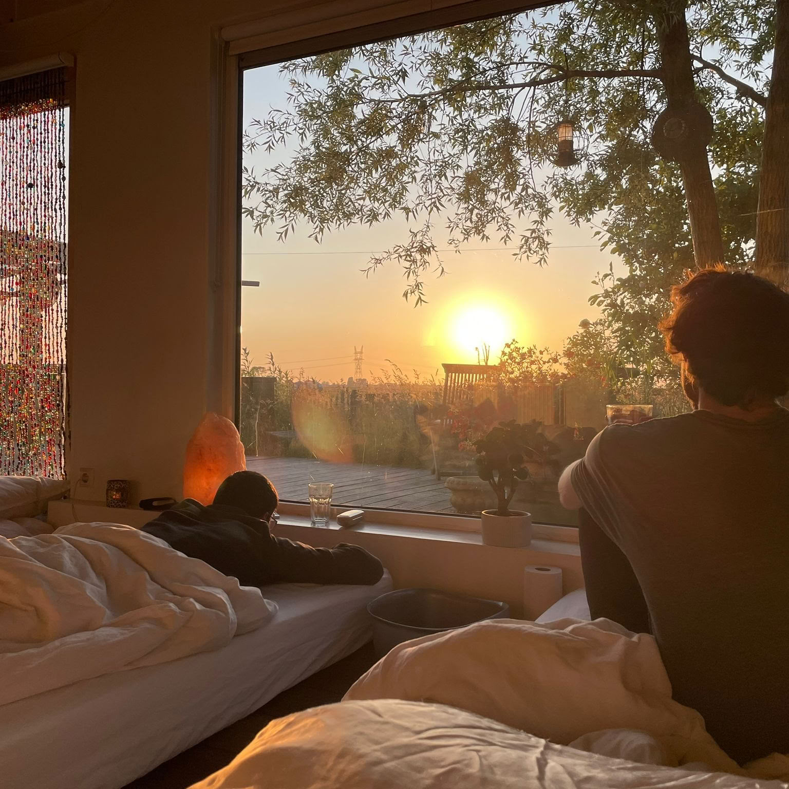 3 Day Ayahuasca Retreat