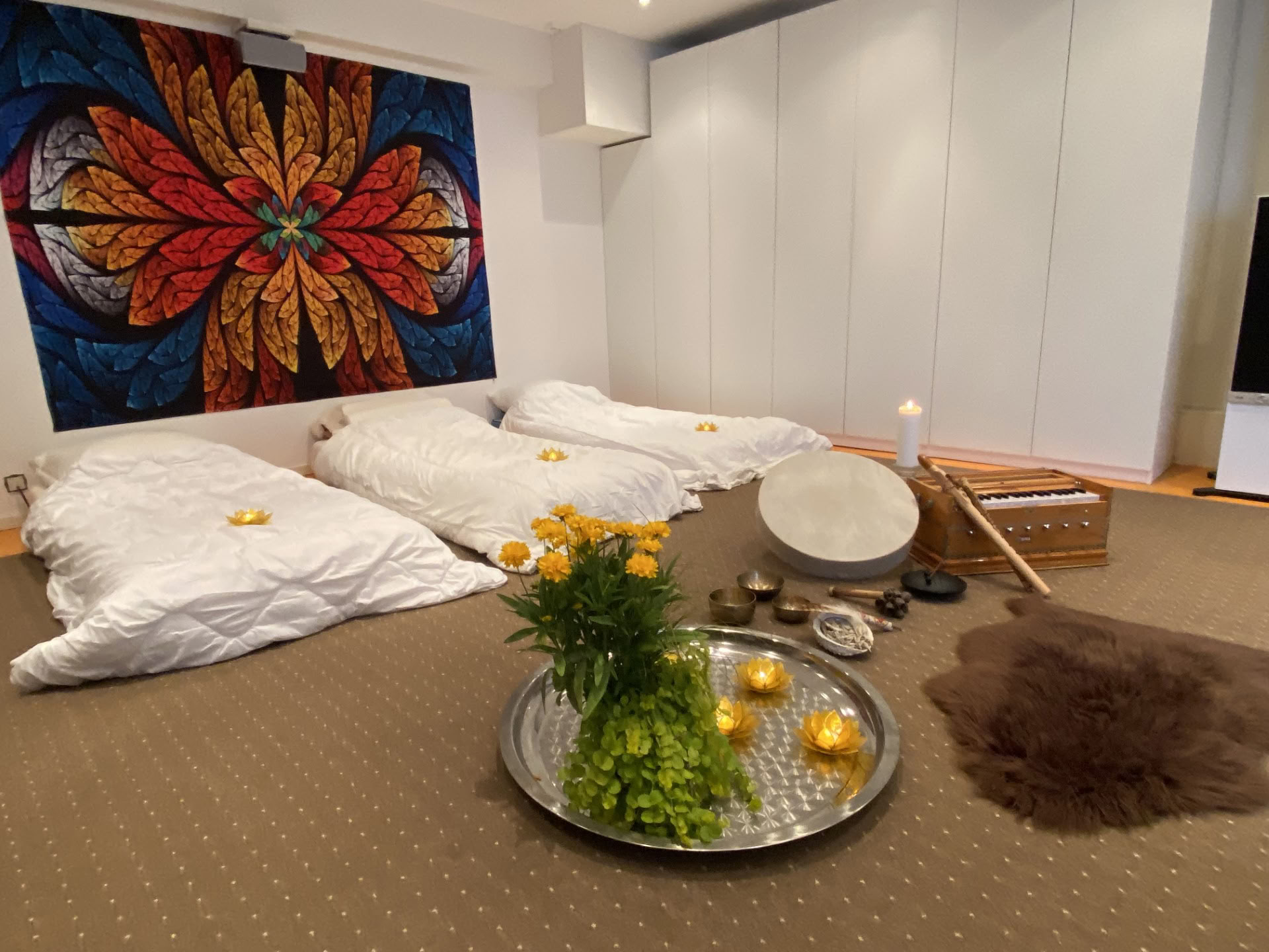 Private Ayahuasca Session