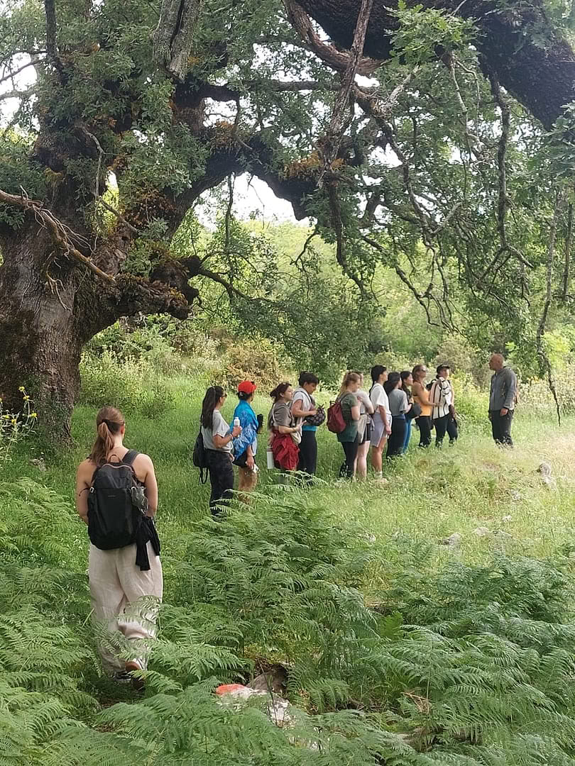 Tai Chi Qi Gong Retreat