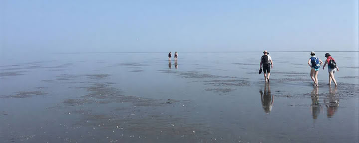 Workretreat (with Wadwalk)