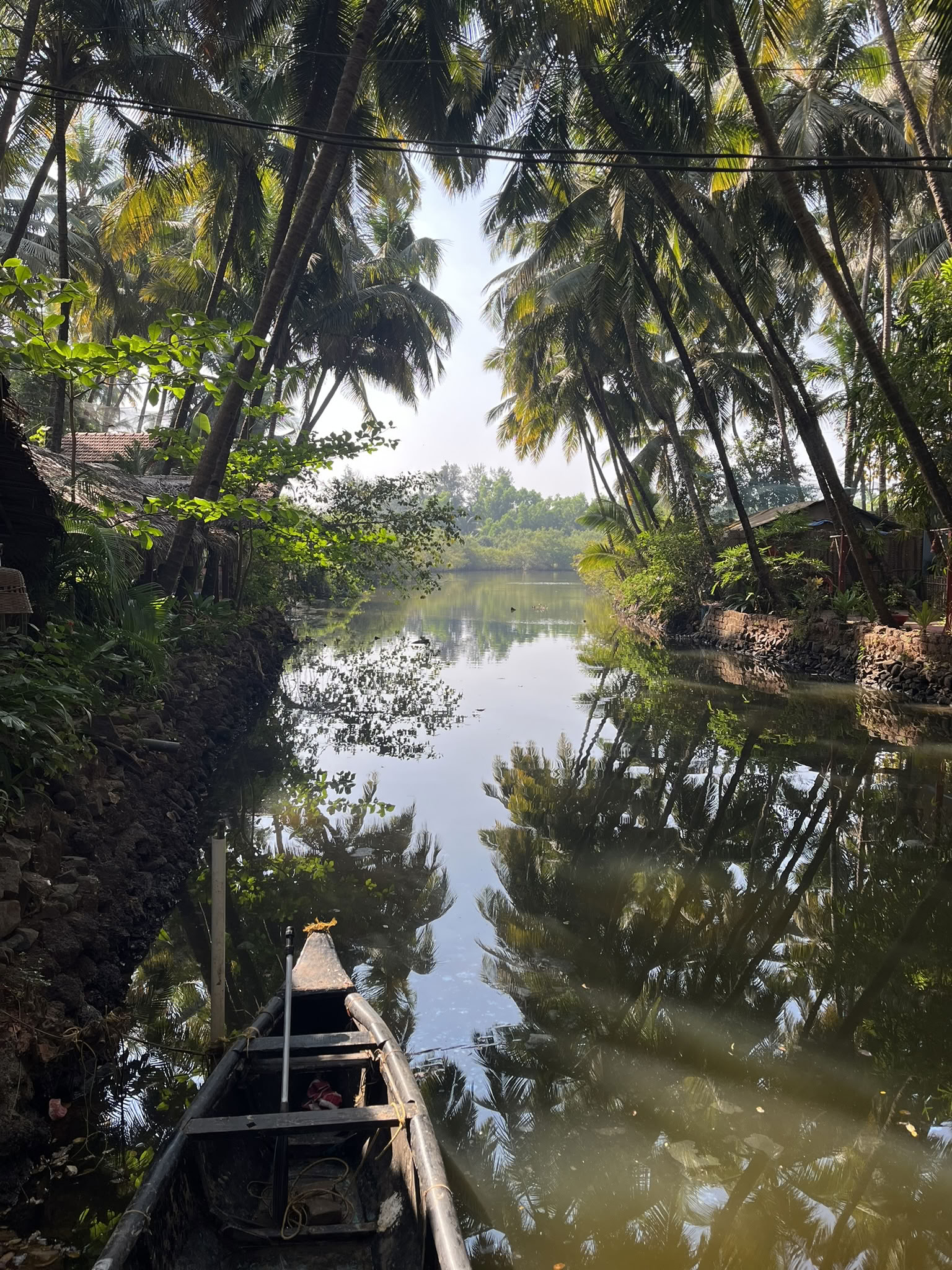 Yoga Retreat in Goa