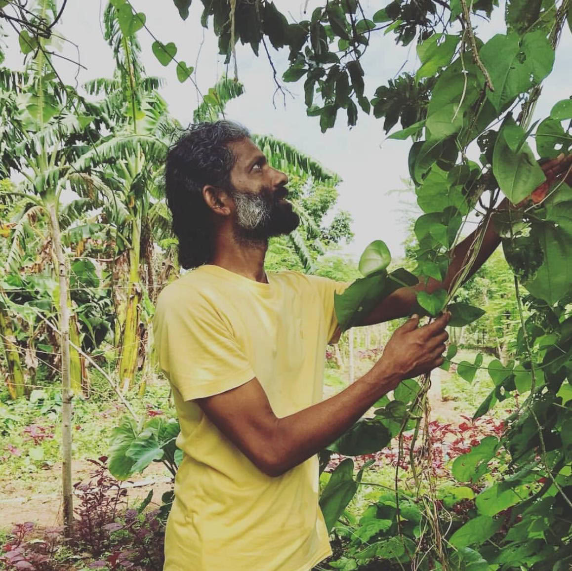 Yoga Retreat in an Ashram