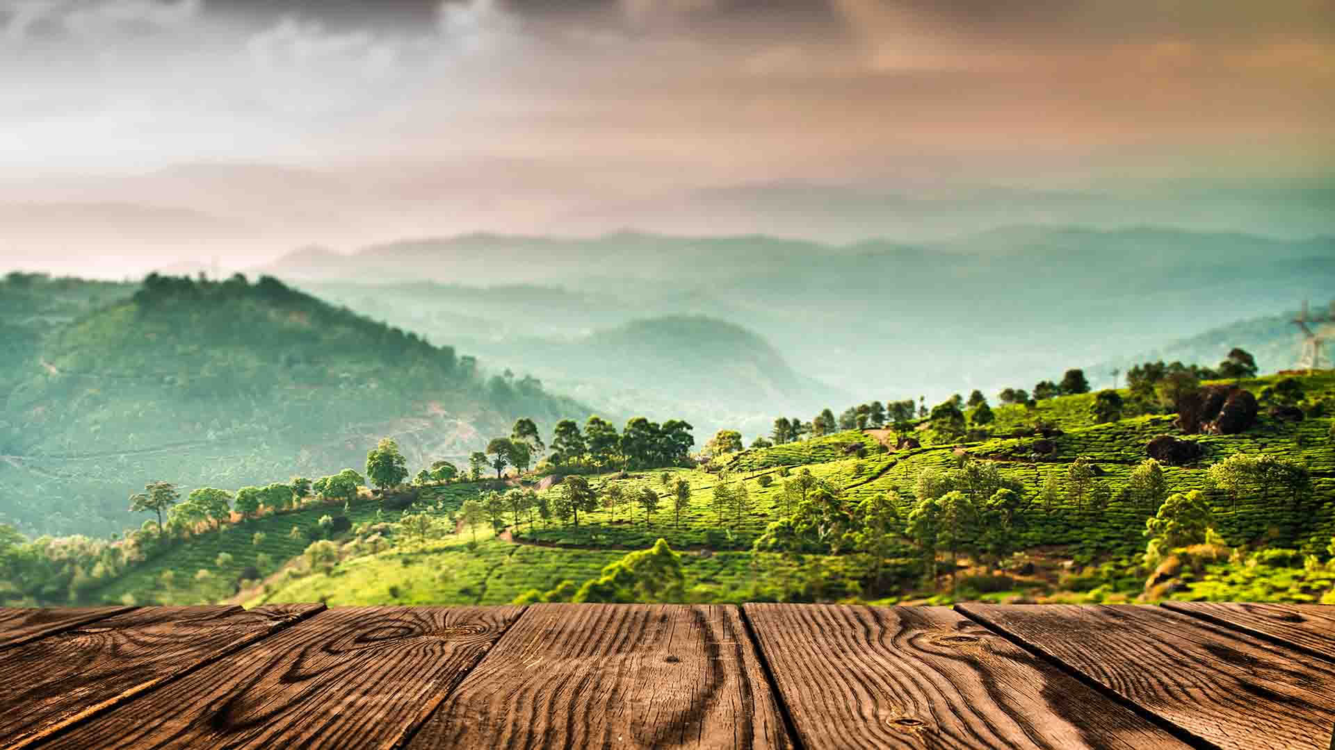 Yoga Retreat in an Ashram