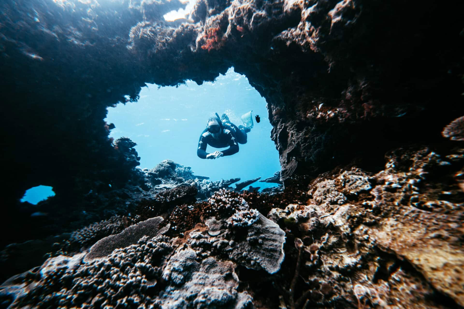 Lady Elliot Island Freediving & Breathless Invite Only