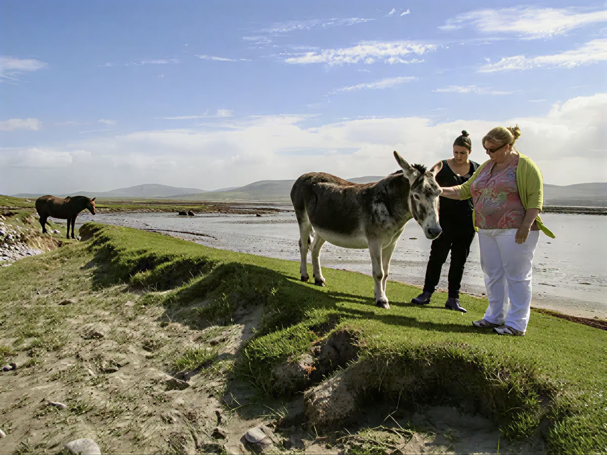 Couples Retreat Ireland