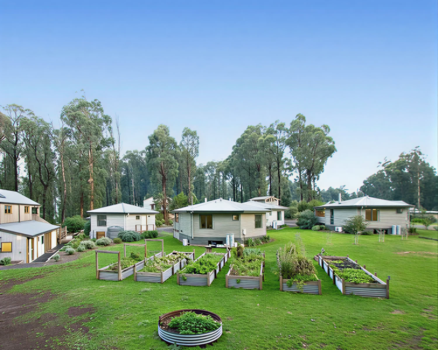 Spring Wellness Retreat