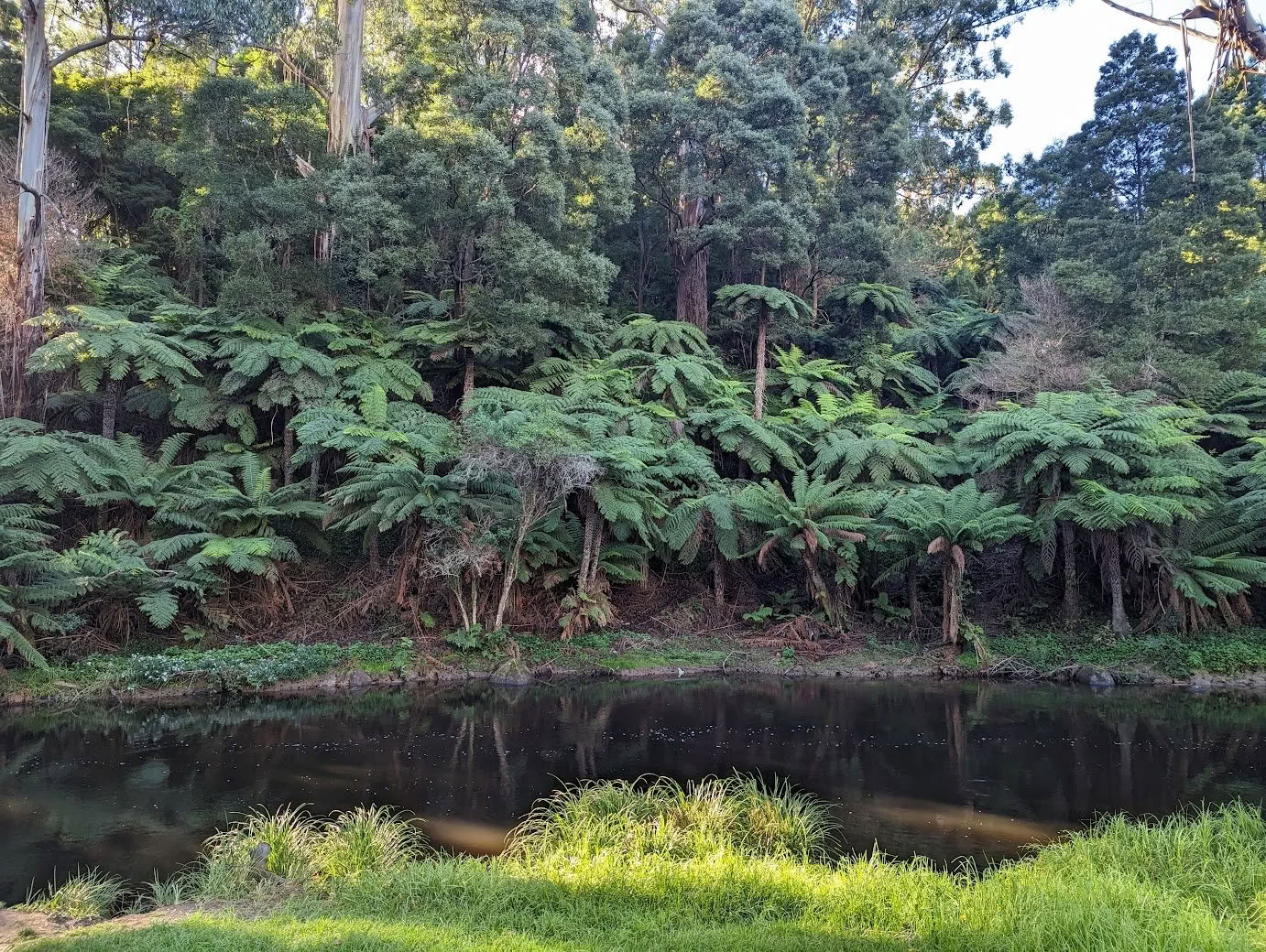 Warburton wellness retreat