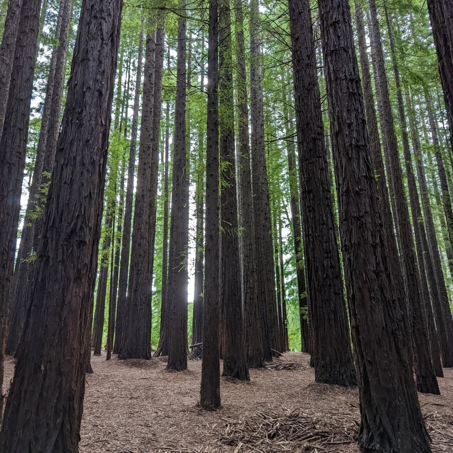 Warburton overnight retreat