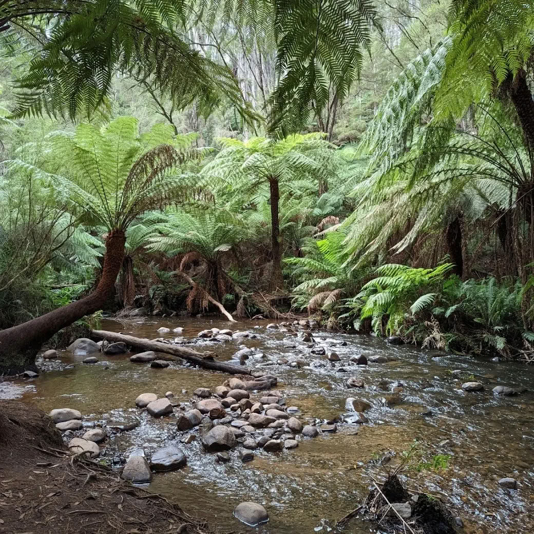 Warburton overnight retreat