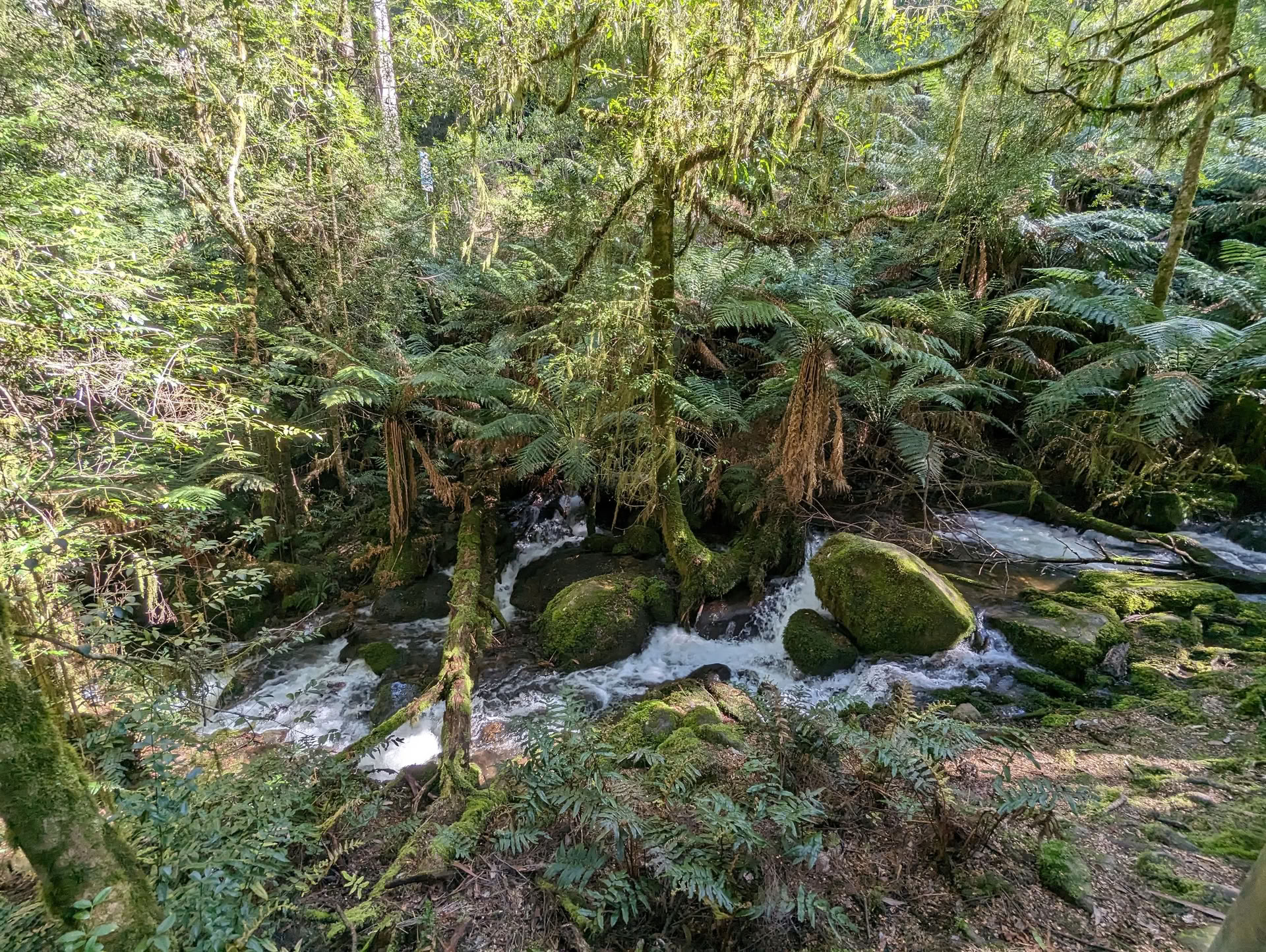 Warburton overnight retreat