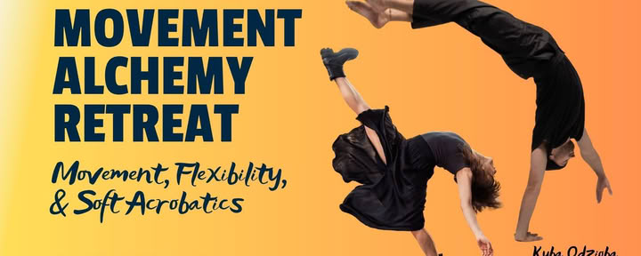 MOVEMENT ALCHEMY