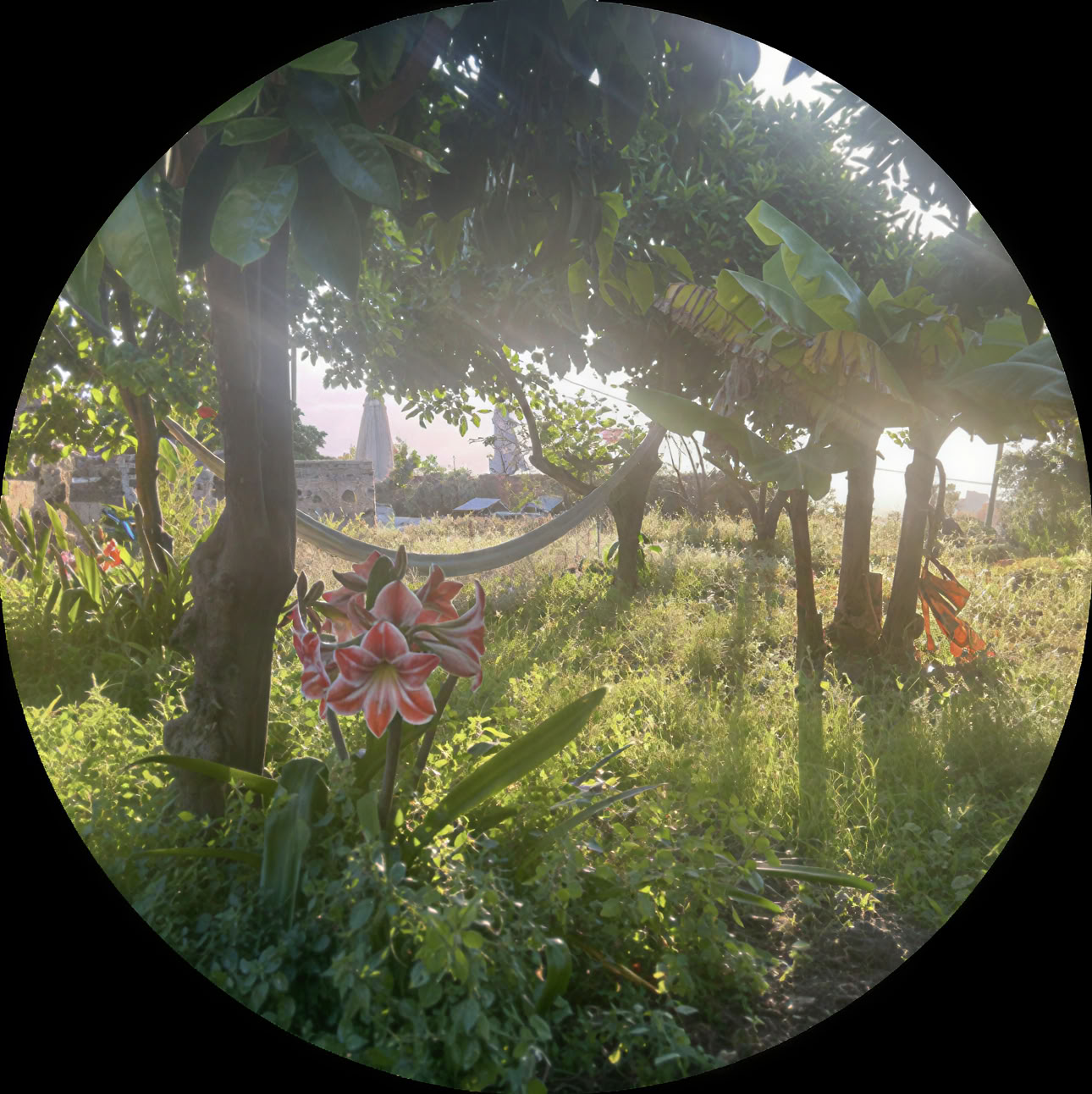 Reset Yoga Retreat