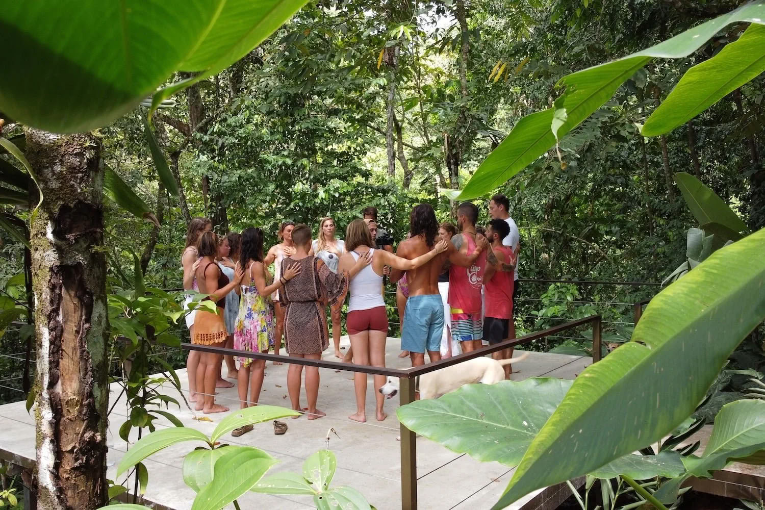 The Living Knowledge of Healing Retreat - September 2-9, 2026 | Casa Kia Ora