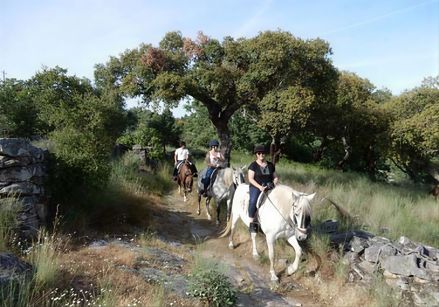 Route Following “La Raya”
