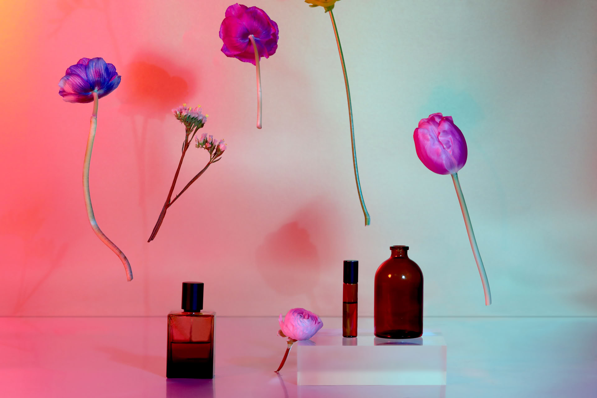Introduction to Aromatherapy