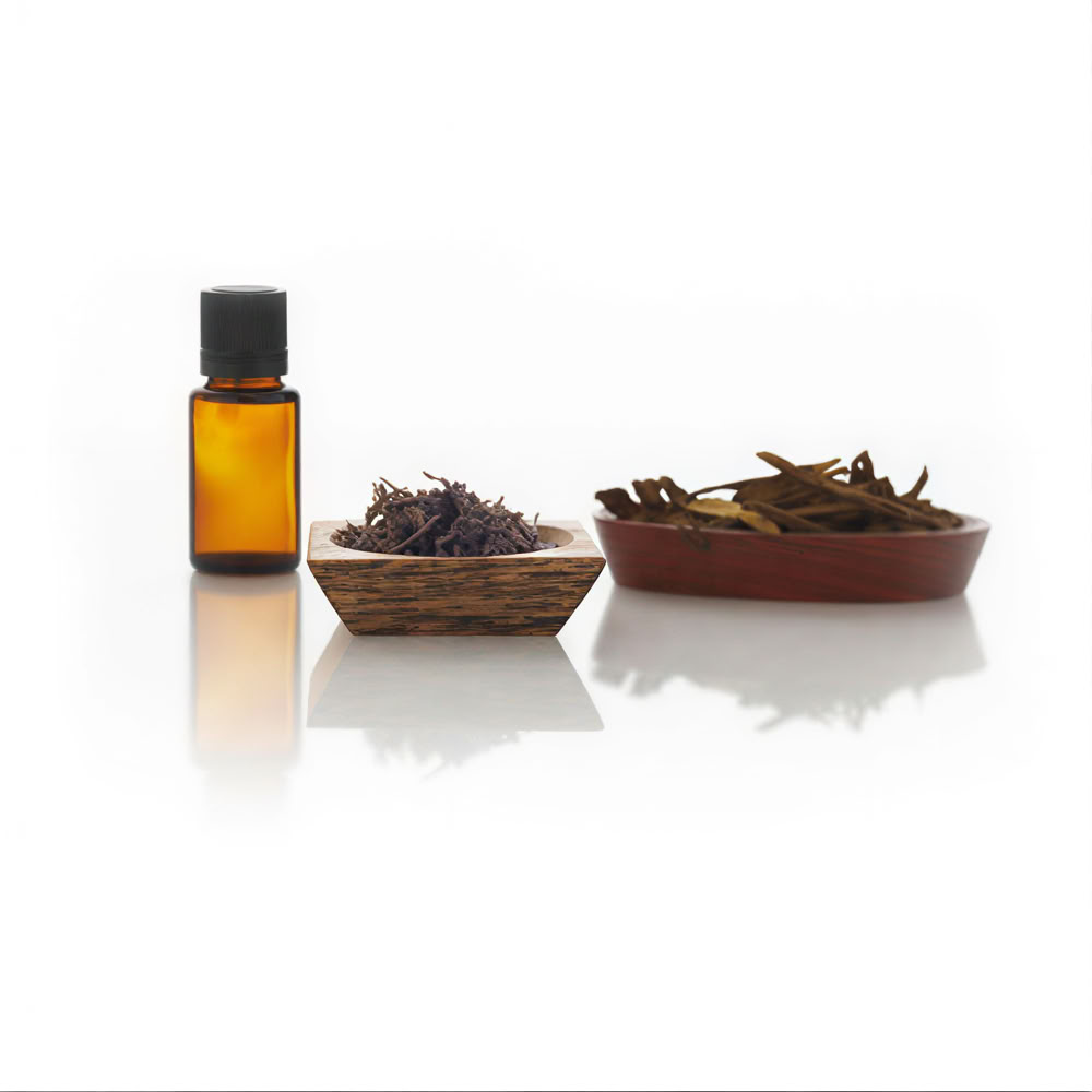Introduction to Aromatherapy
