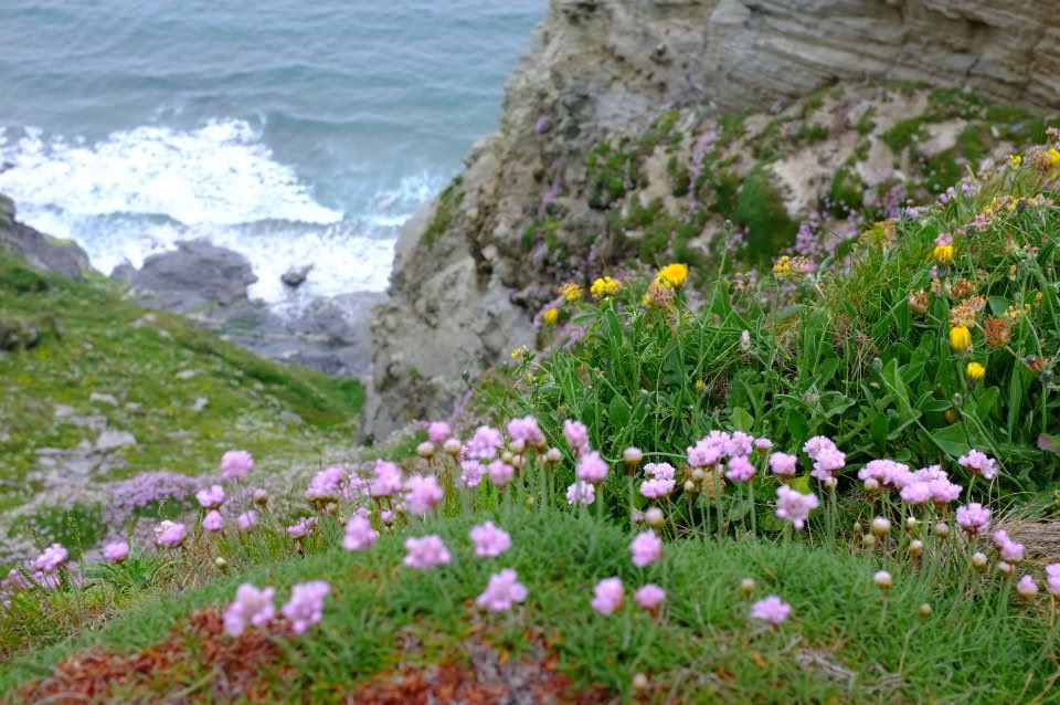 5 Night Meditation & Mindfulness Retreat