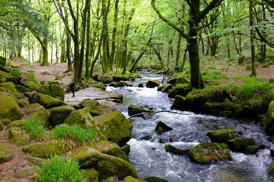 5 Night Meditation & Mindfulness Retreat