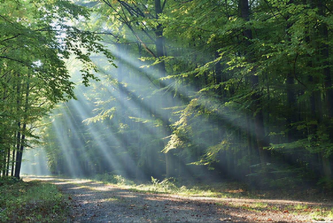 Living with Cancer Massage & Reiki Combo